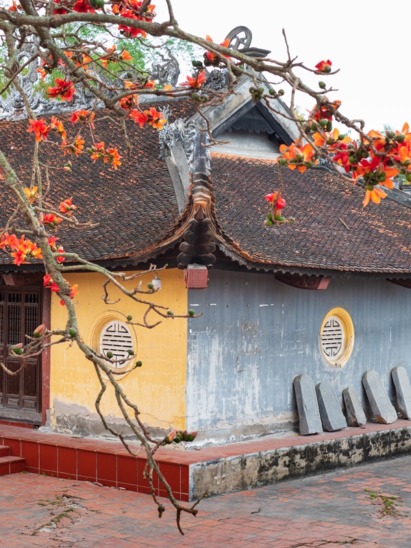 520. Đình Cao Xá – Vũ Văn Tuấn