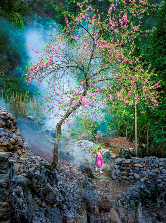 521. Xuân về trên cao nguyên đá Hà Giang – Nguyễn Văn Trực