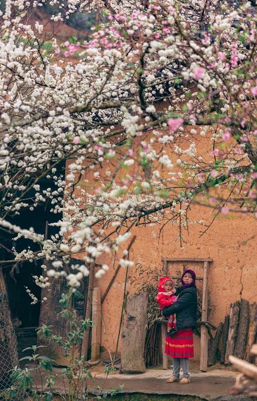 527. Ngóng xuân – Lê Quang Long