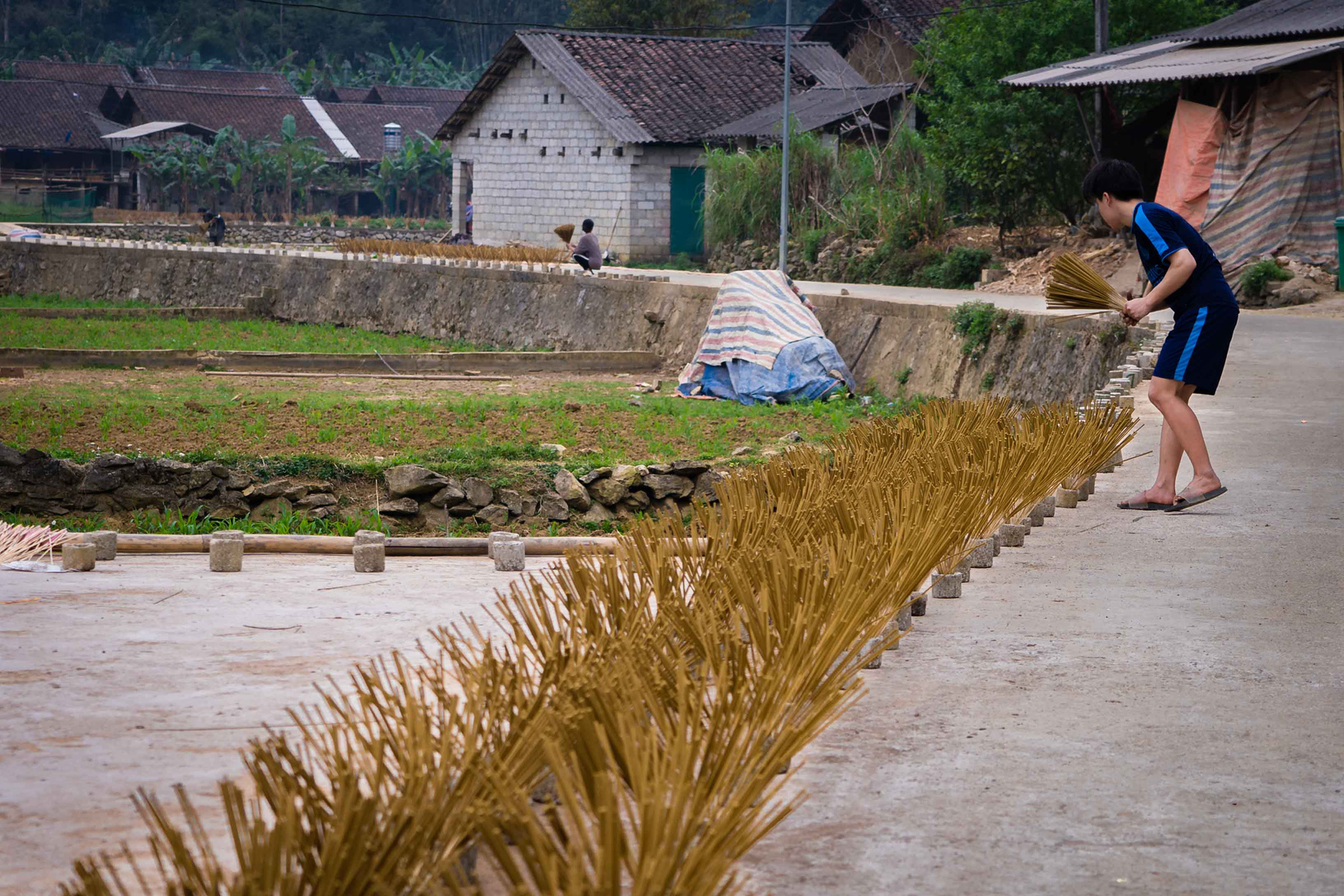 103.Làng hương Phja Thắp – Lương Anh Tuấn
