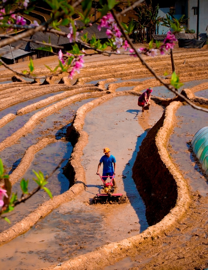 97. Vụ mới – Đặng Thị Phương Lan