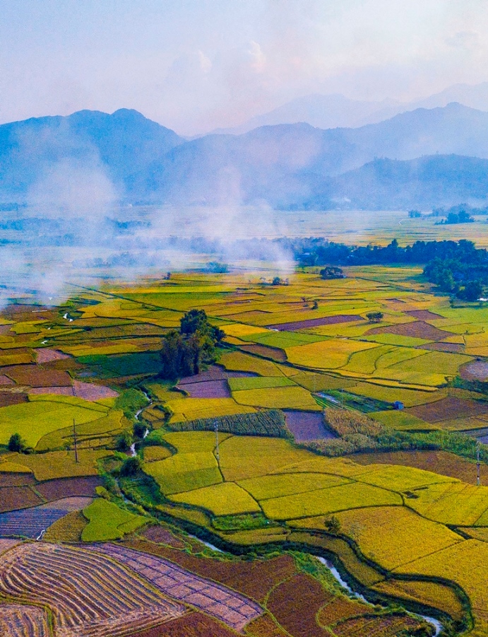 98. Mùa vàng – Đặng Thị Phương Lan