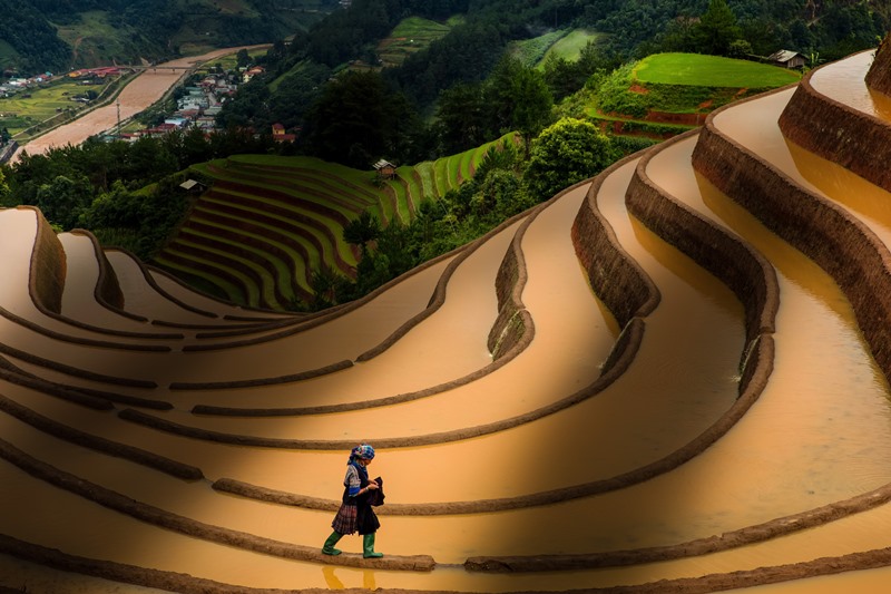 133. Hoàng Hôn lộng lẫy trên ruộng bậc thang Mù Cang Chải mùa nước đổ – Nguyễn Thị Chiều Xuân