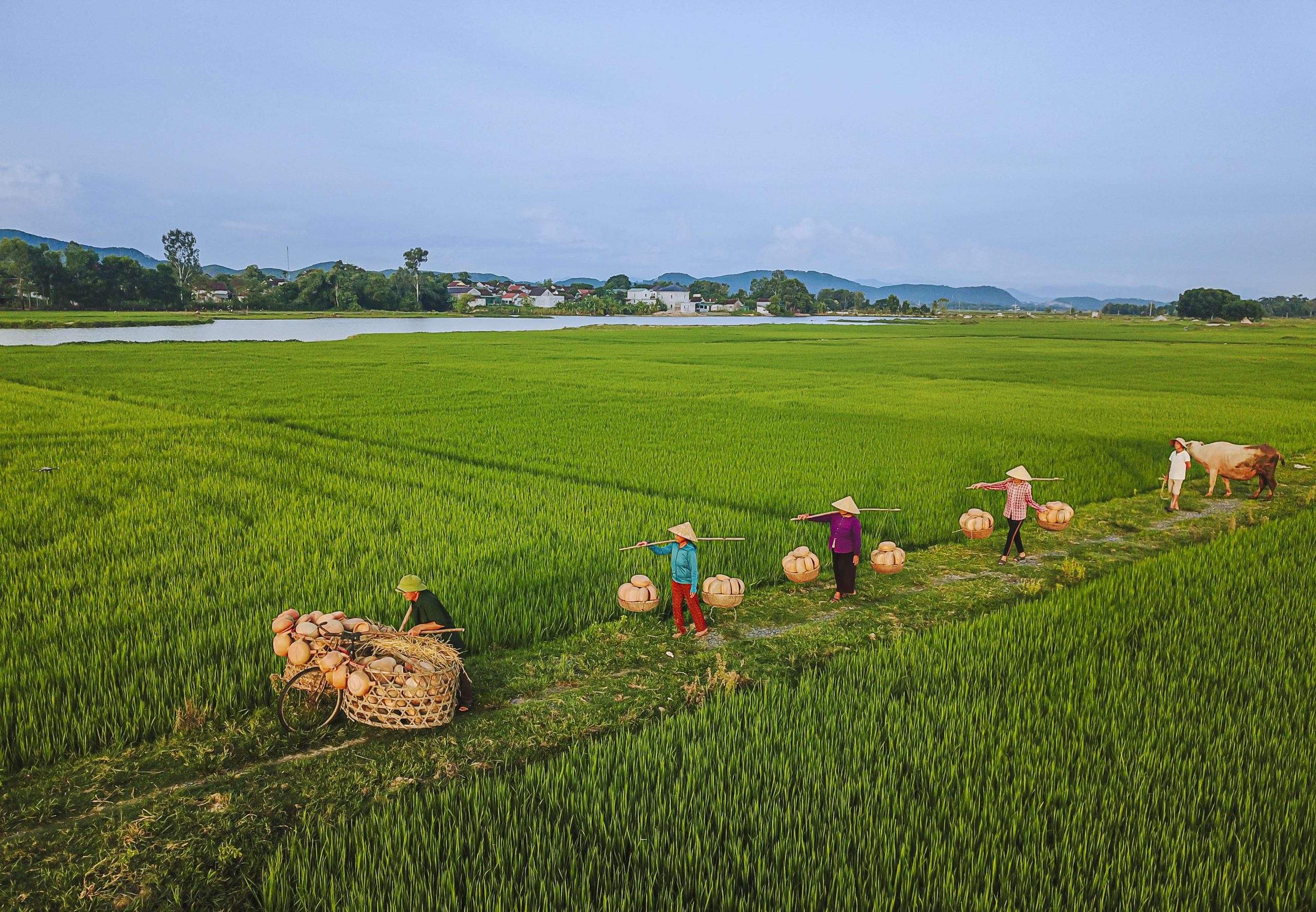 180. Nồi đất Trù Sơn – Nguyễn Văn Trực
