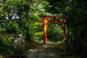 149.Tohoku wonderland-Masaki Nakamura