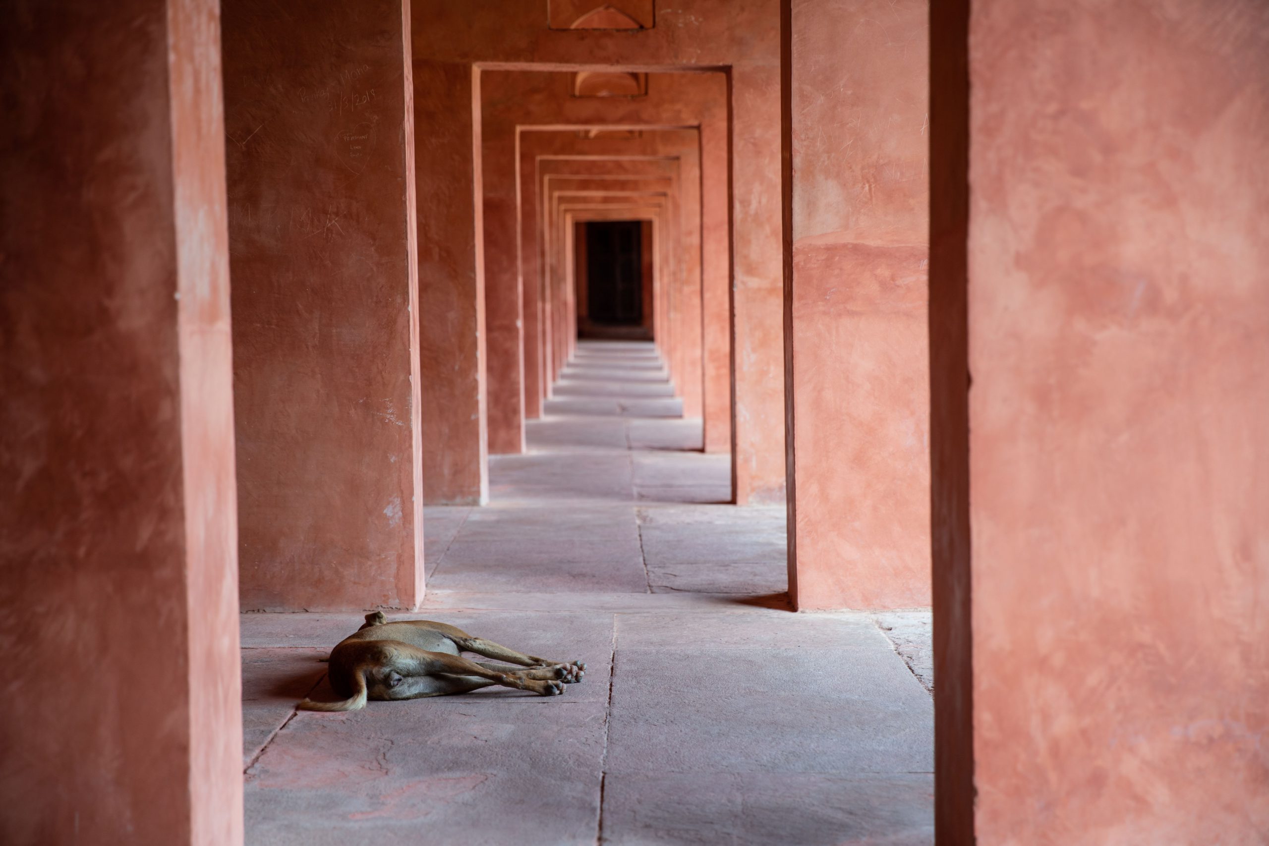 157.Slice of Life in India – Masaki Nakamura