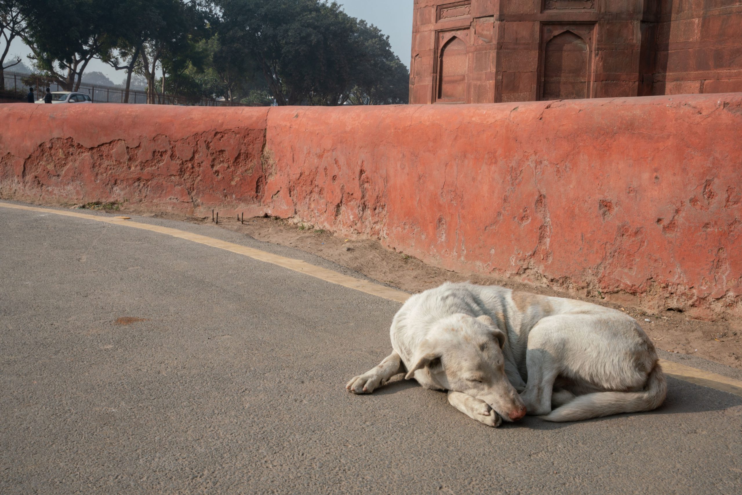 157.Slice of Life in India – Masaki Nakamura