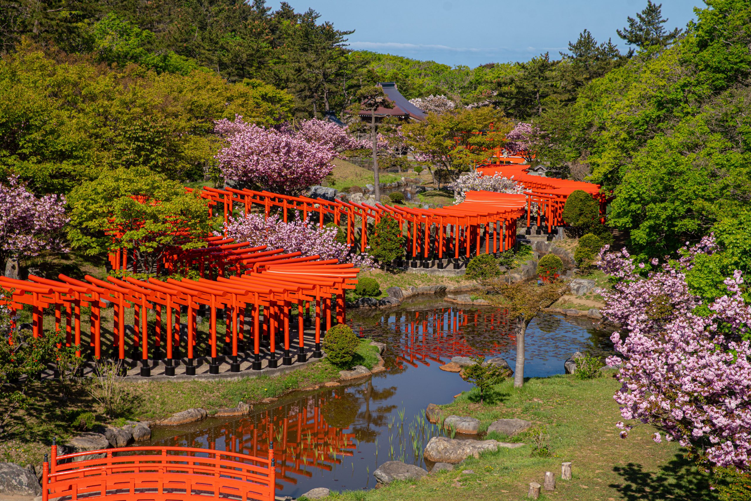 155.Faith of Japan – Masaki Nakamura