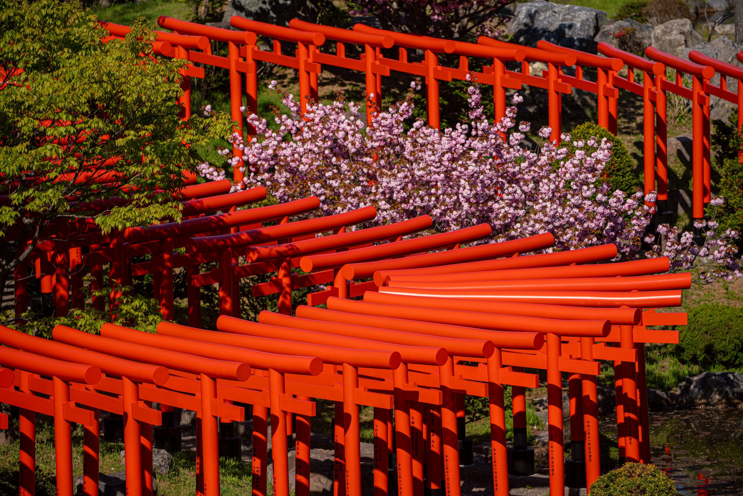 155.Faith of Japan – Masaki Nakamura