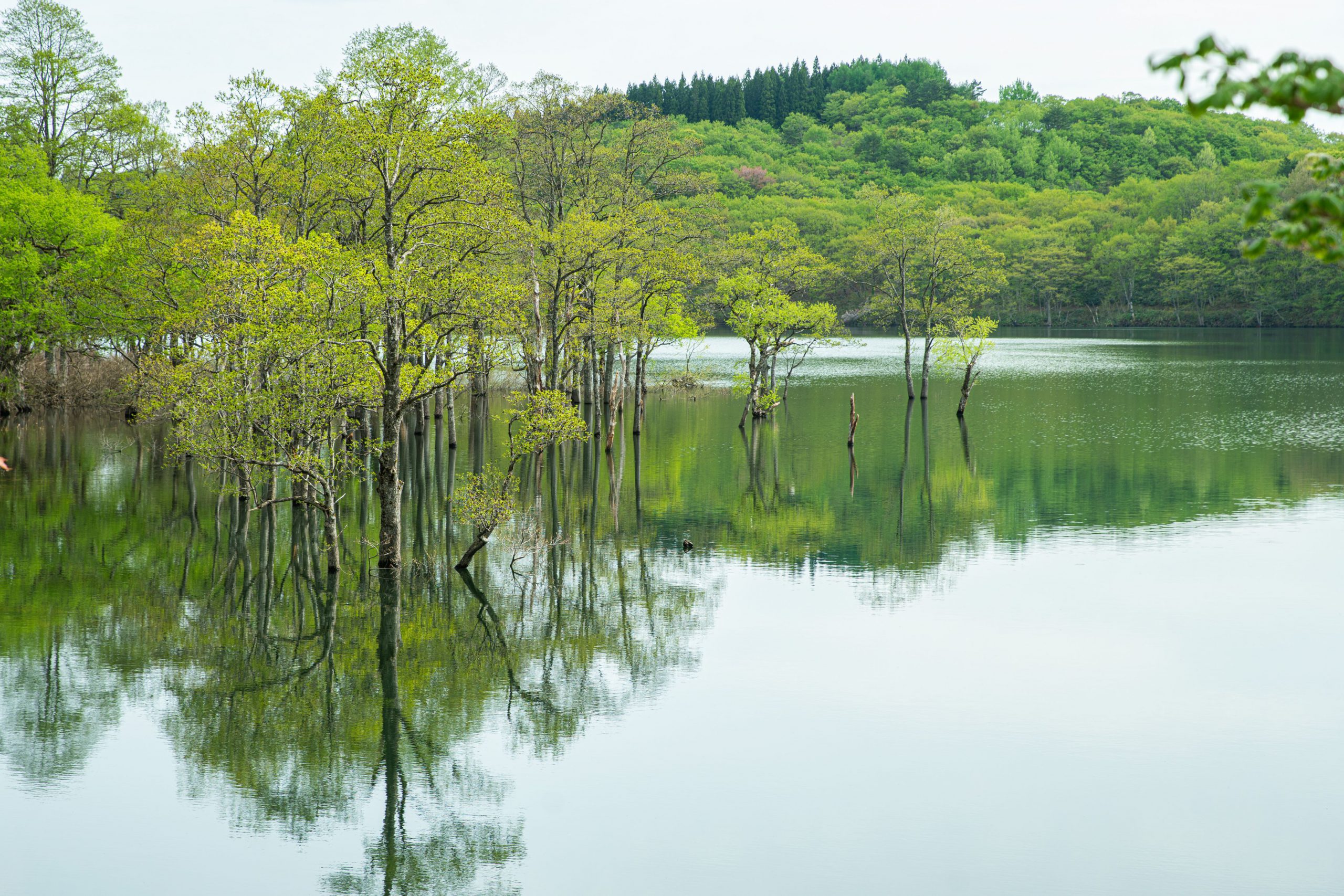 159.Secret Garden in Japan – Masaki Nakamura