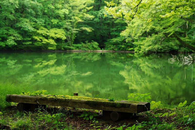 150.Epitome of Japan-Masaki Nakamura