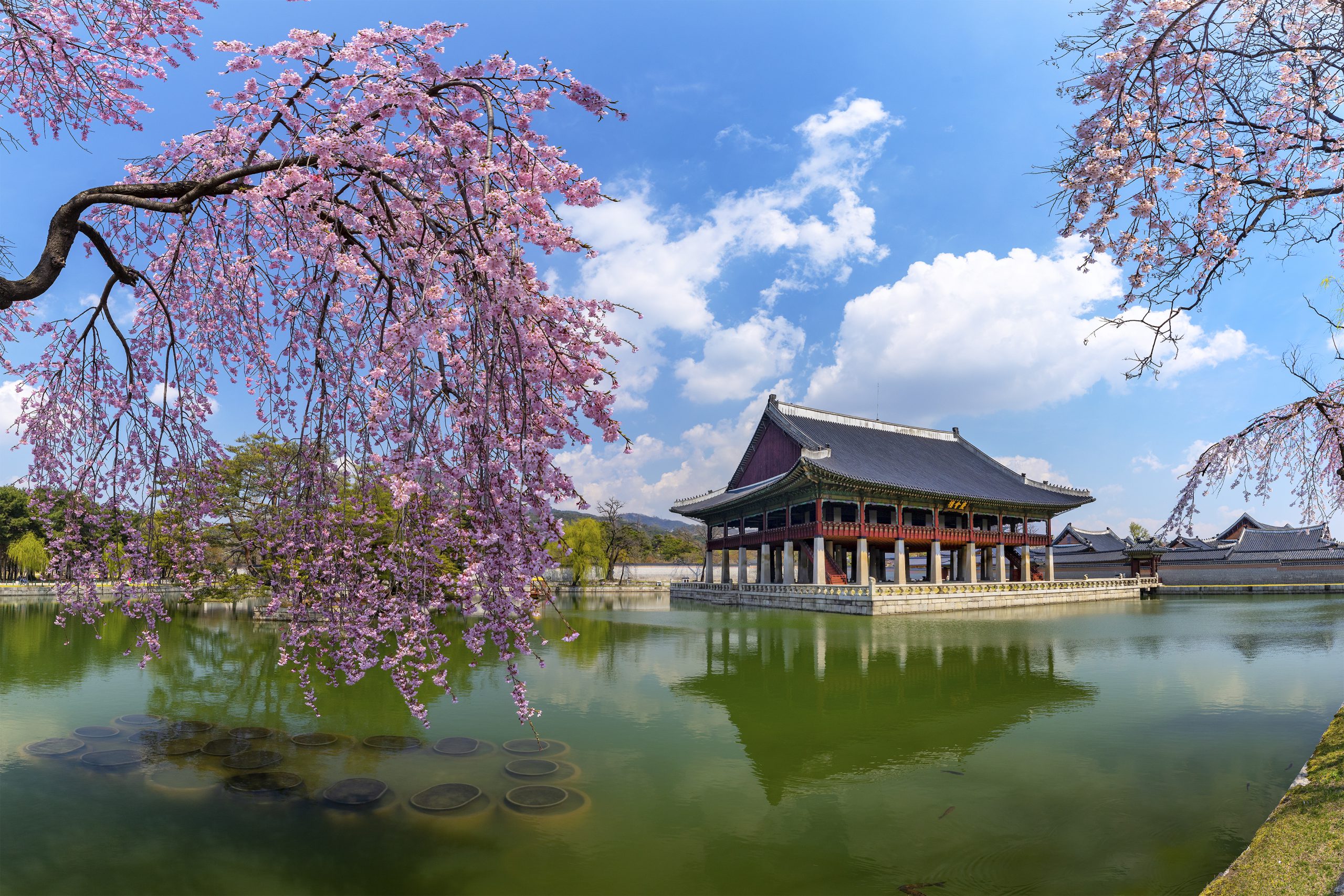 82.Korea- Lê Việt Khánh