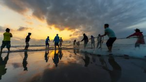 Nghề biển “đi giật lùi”