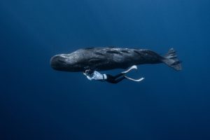 Kết quả Chung kết Giải ảnh “Heritage – Hành trình Di sản 2023”