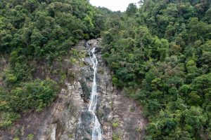 160.Rừng quốc gia Bạch Mã kiệt tác của thiên nhiên – Đặng Hoài Anh