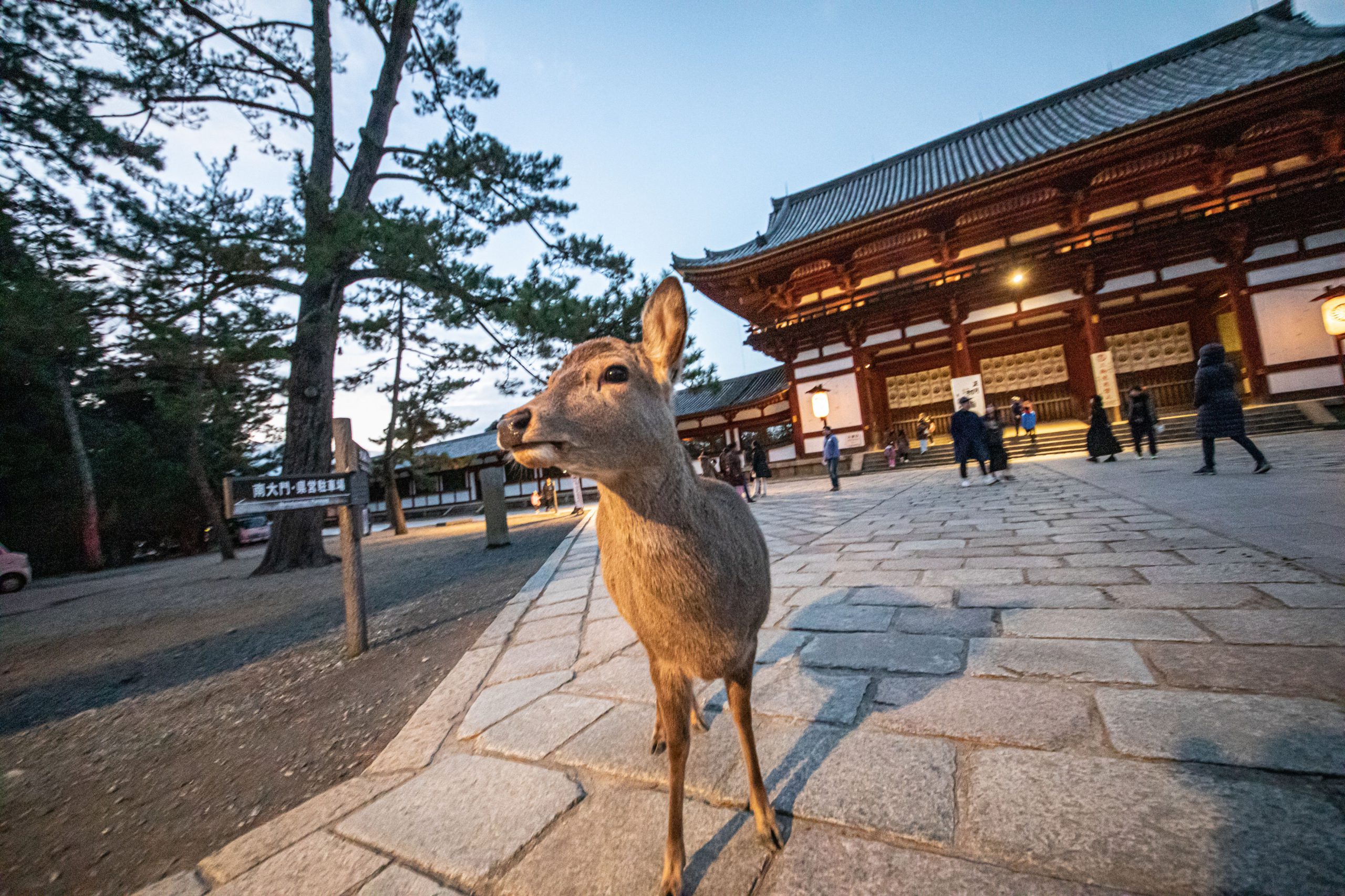 152.Old Heritage of Japan – Masaki Nakamura