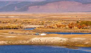 Golden memories of Mongolia