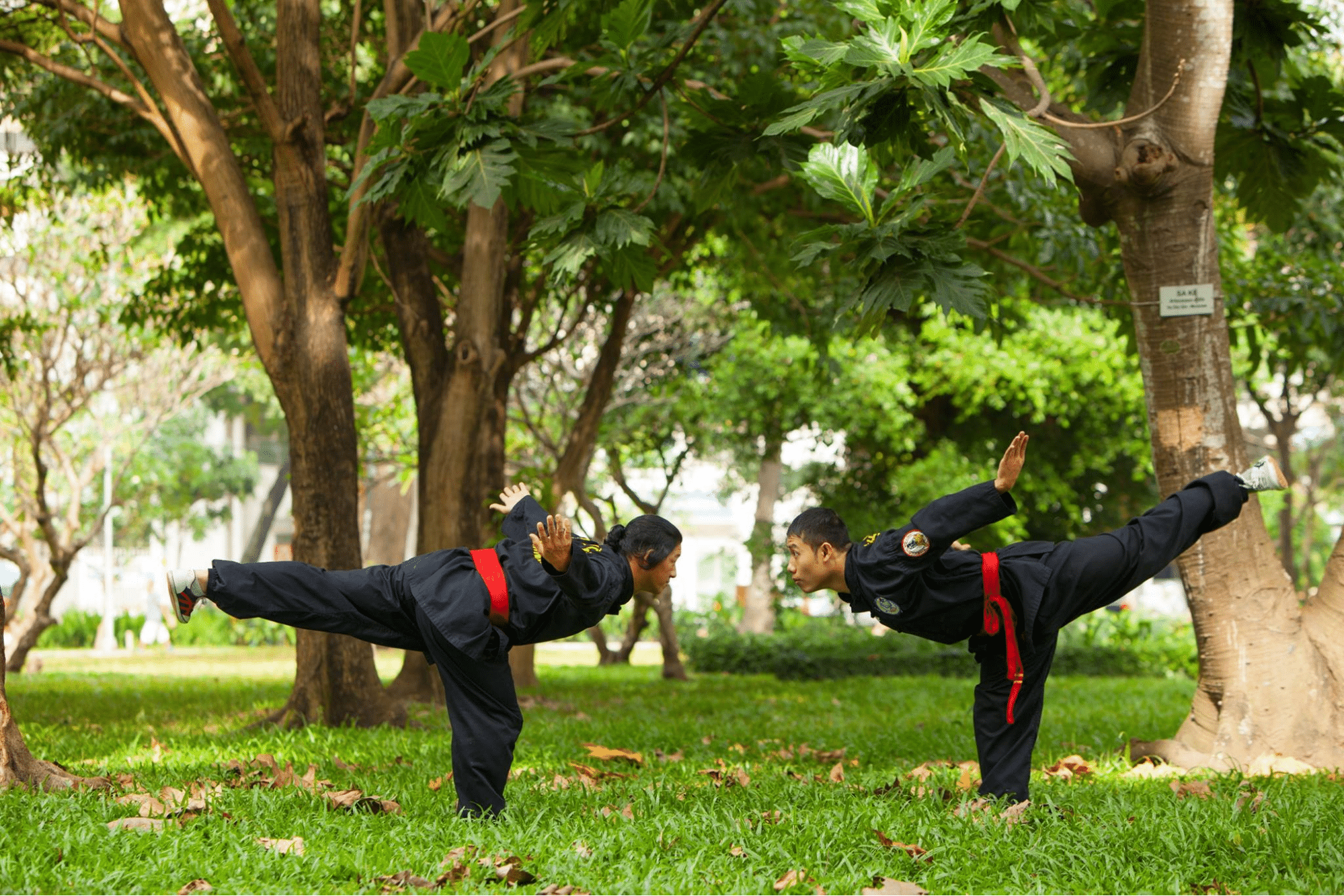 Võ lâm Tân Khánh Bà Trà di sản văn hóa phi vật thể ở Bình Dương 