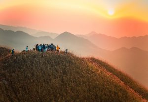Blossoming reeds by the frontier