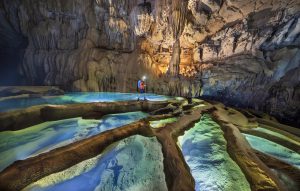 Tiếng gọi của thiên nhiên