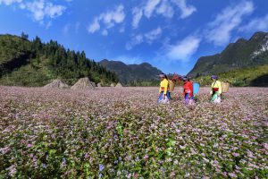 Điện ảnh cho Du lịch Hà Giang cất cánh
