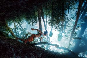 Trở về với Mẹ Thiên nhiên