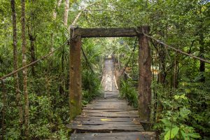 Vào rừng lội suối trên Đảo Ngọc