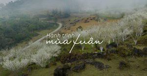 Hành trình mùa xuân