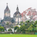 Mùa hoa thắp lửa