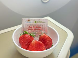 Vietnam Airlines đưa nông sản Mộc Châu vào thực đơn trên không