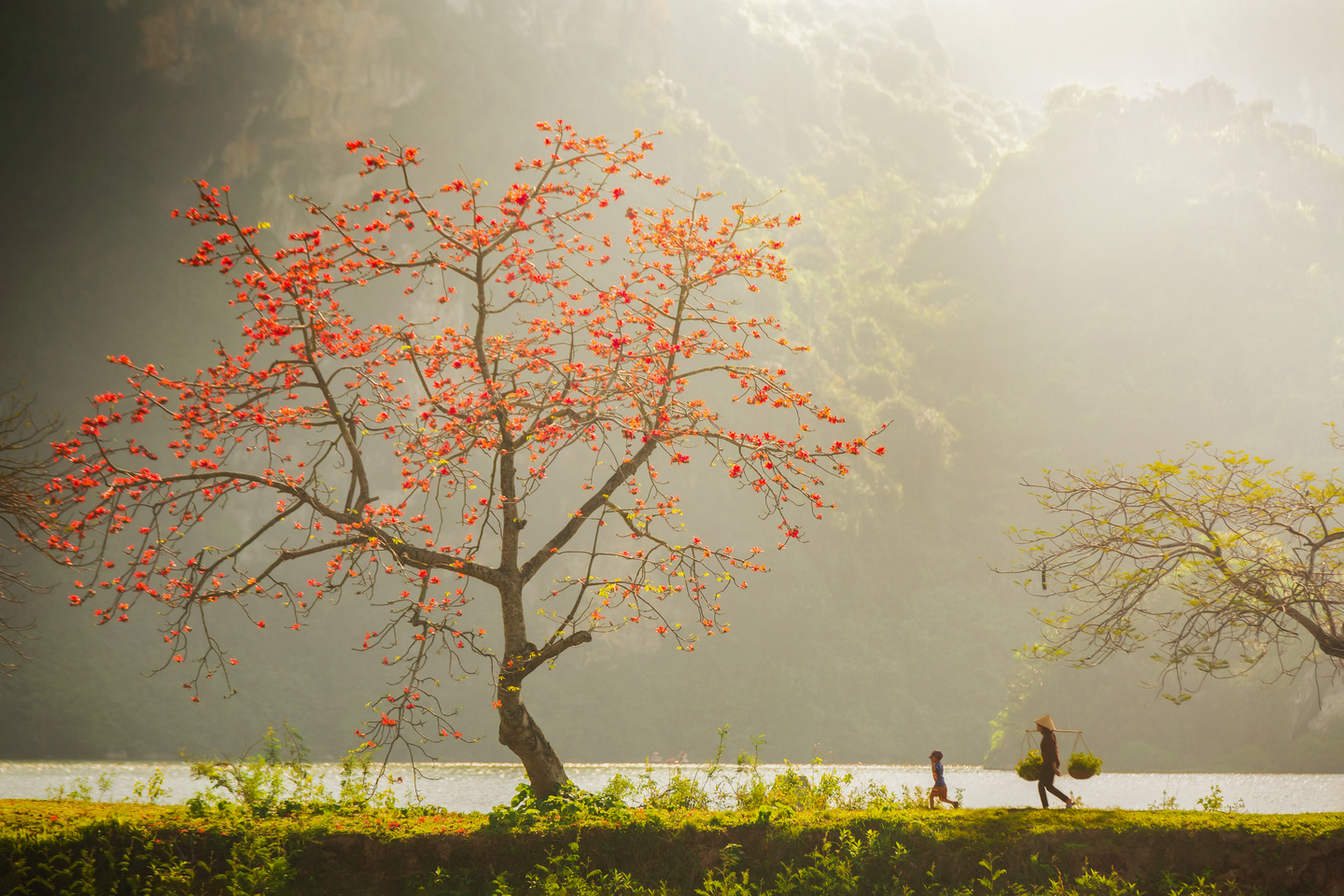 Mùa hoa thắp lửa