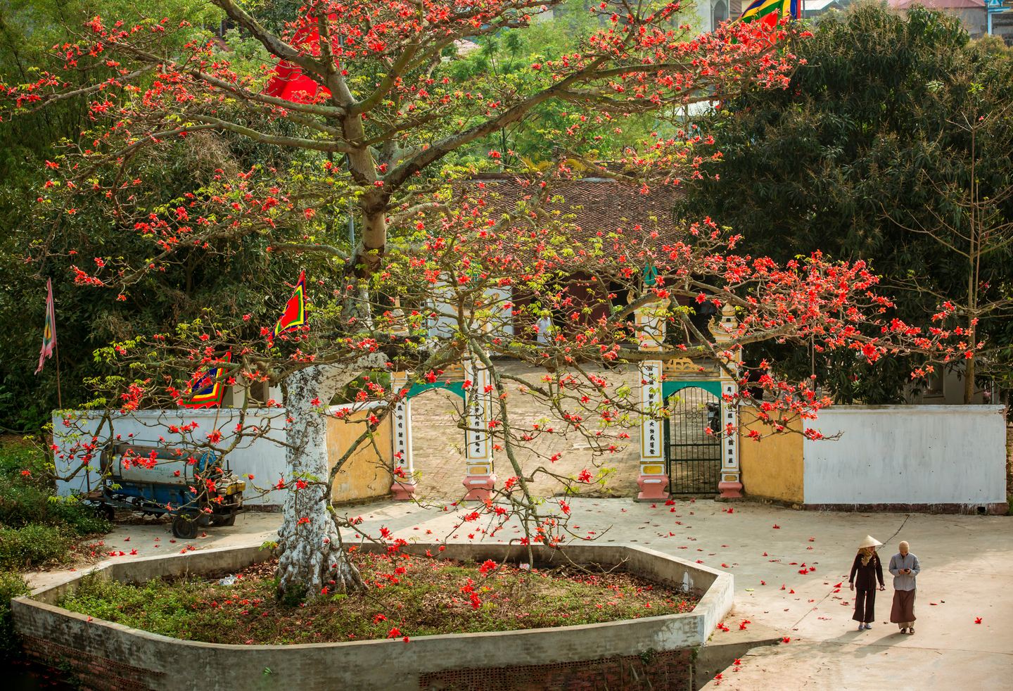 Mùa hoa thắp lửa