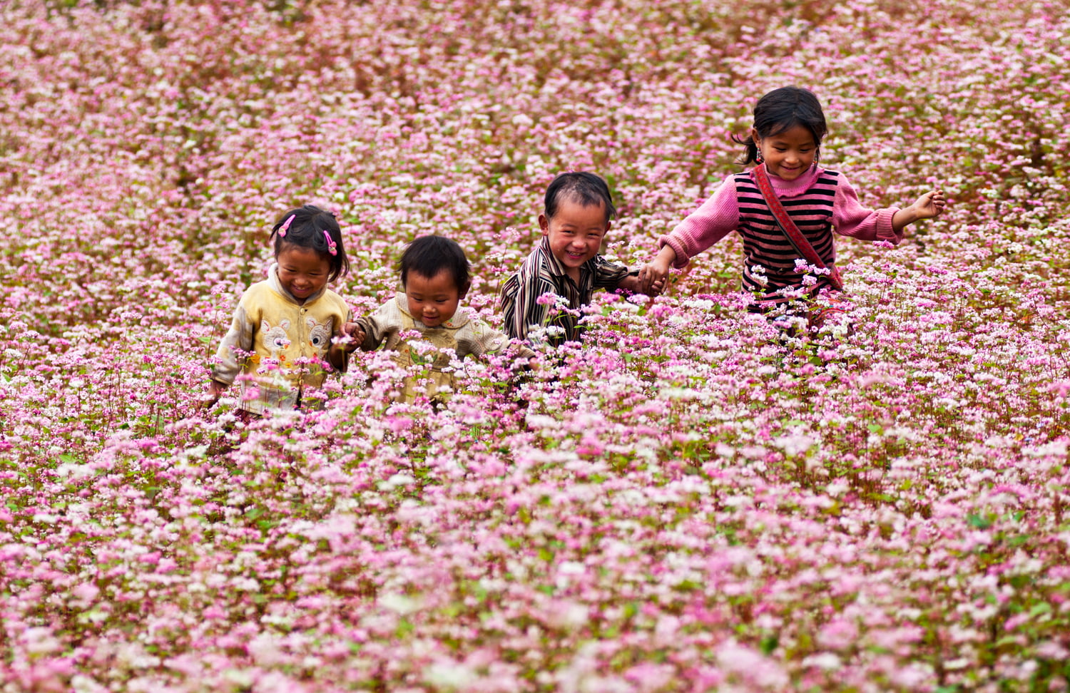 du lịch việt nam ở Hà Giang