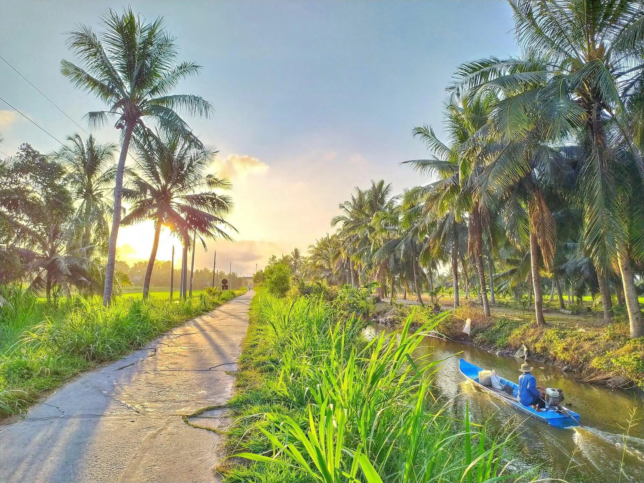 Xứ dừa Bến Tre là địa điểm du lịch Việt Nam