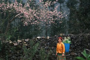 Spring in the “cat-ear” mountains