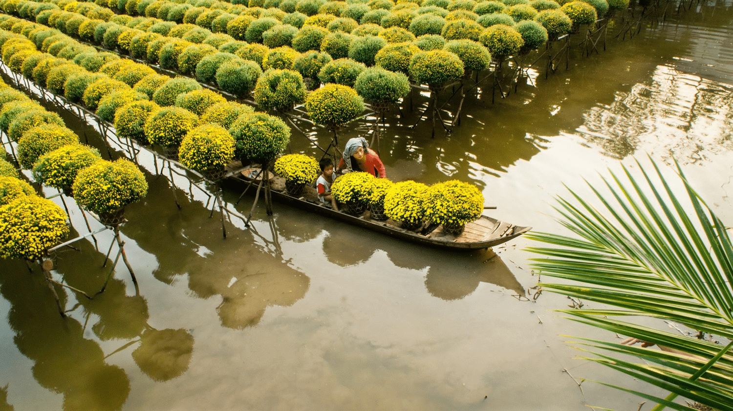 Du lịch Việt Nam ngắn làng hoa Sa Đéc, Đồng Tháp
