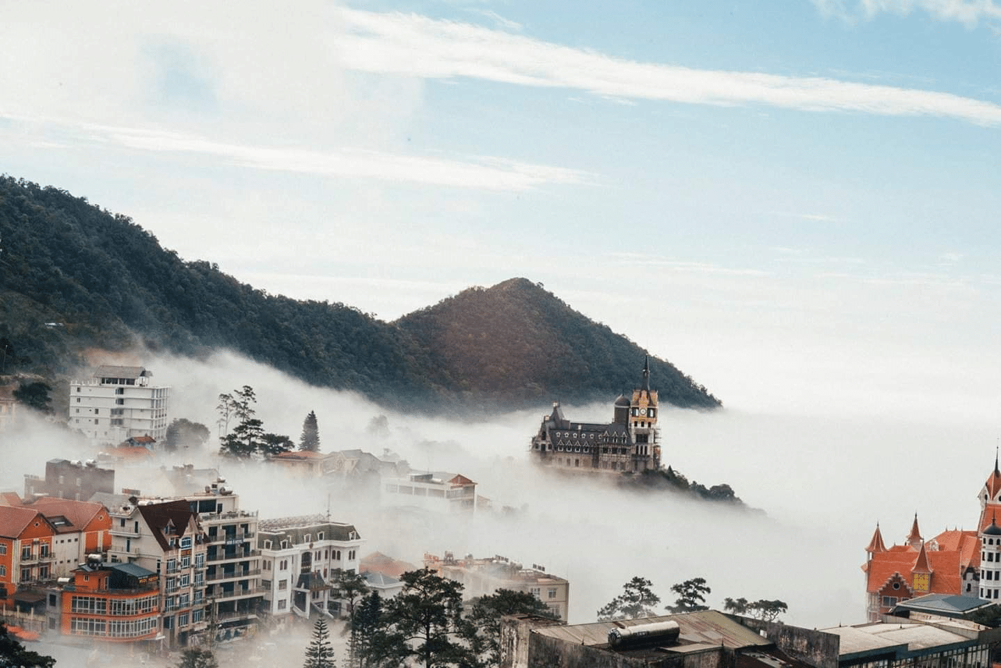 Du lịch Việt Nam Săn mây tại Tam Đảo