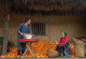 Gặp gỡ văn hóa Hà Giang qua câu chuyện nhà đất trình tường