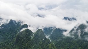 Enjoy the woods and mountains