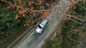 Hành trình của di sản