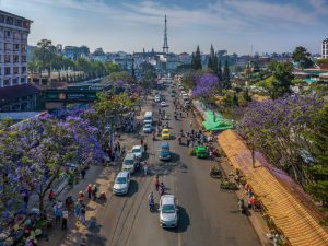 Lâm Đồng – Điểm hẹn của hoa và âm nhạc