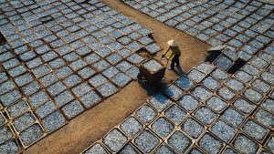 The bustling “fish fields”