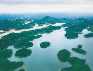 Cô gái đẹp ngủ quên trong rừng