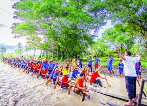 The king of sports in the Mekong Delta