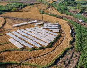 Explore “the white land”