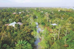 A journey through fruitful lands