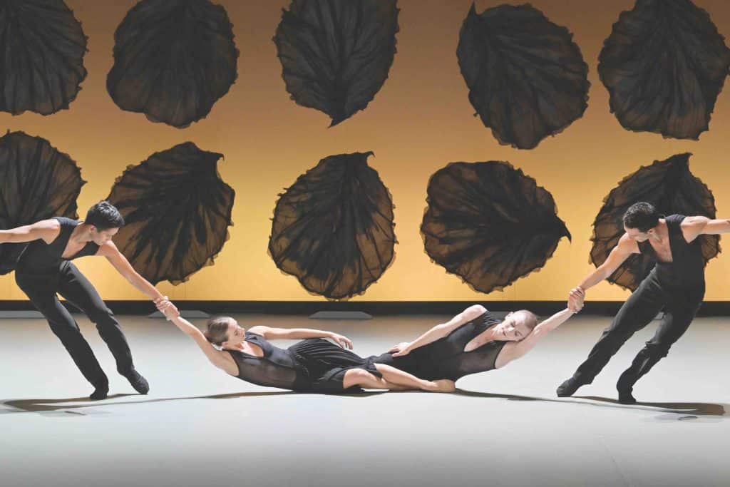 Vũ công biểu diễn trên sân khấu với những hình ảnh lá cây màu đen phía sau