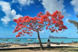 Mauritius: Heaven on earth