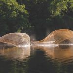 Life on the water