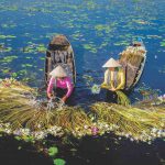 Life on the water